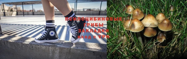 экстази Баксан