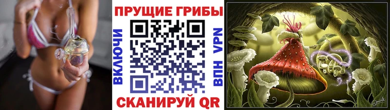 закладка  блэк спрут рабочий сайт  Псилоцибиновые грибы Cubensis  Чулым 