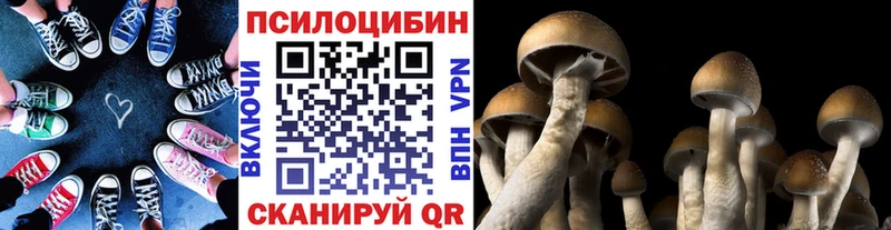 Галлюциногенные грибы Psilocybe Чулым
